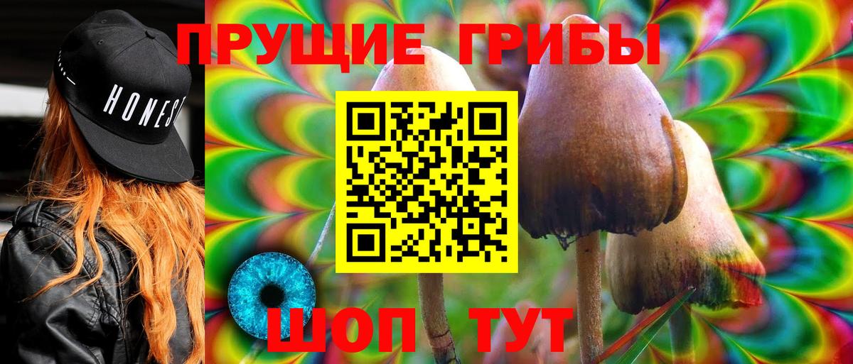 Галлюциногенные грибы Psilocybine cubensis Дальнегорск
